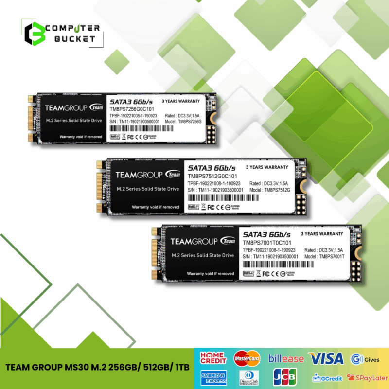 TEAM GROUP MS30 M.2 256GB/ 512GB/ 1TB